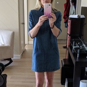 All Saints Jean Dress
